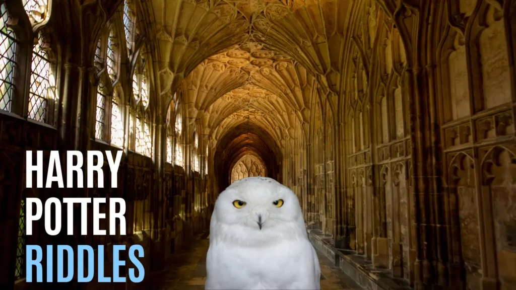 Harry Potter Riddles