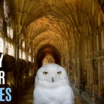 Harry Potter Riddles