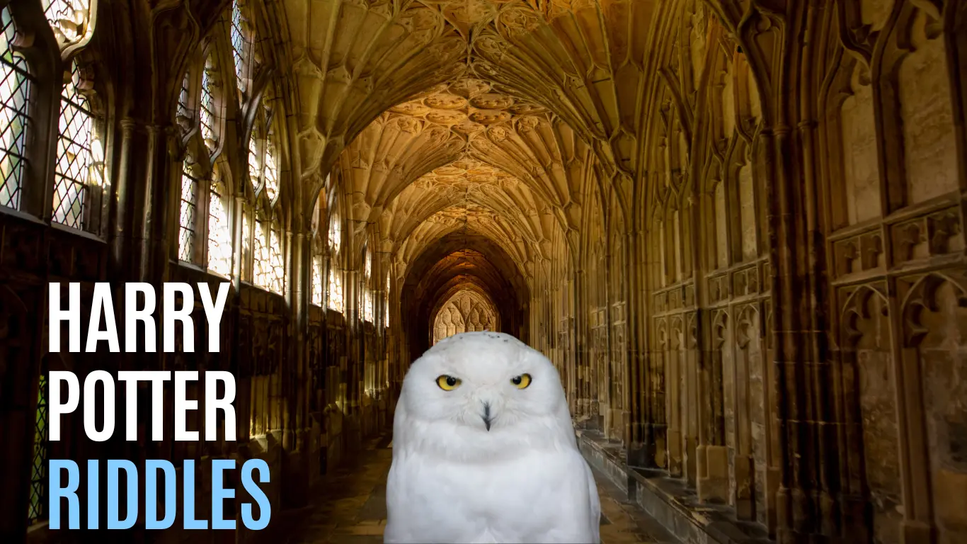 Harry Potter Riddles