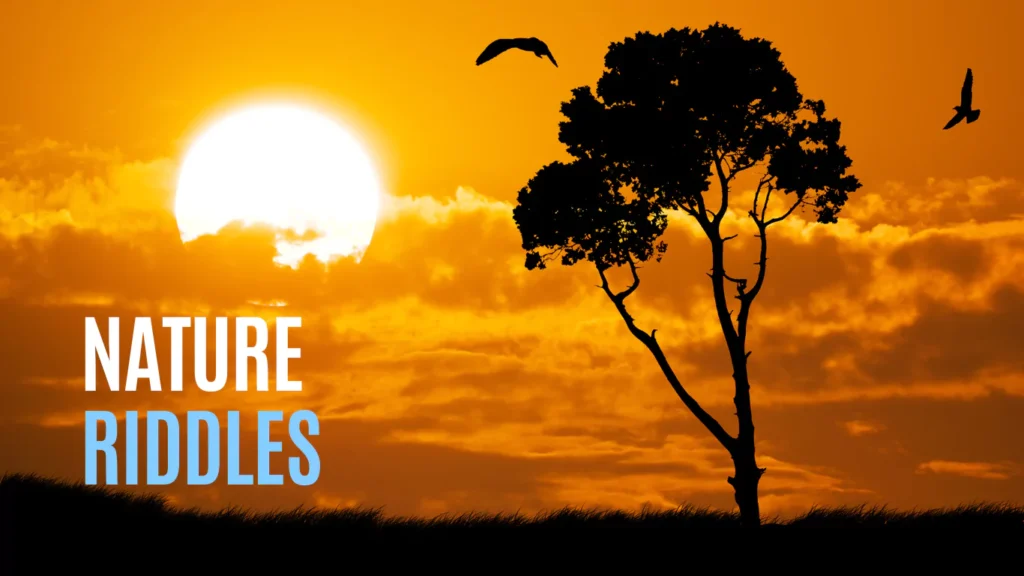 nature-riddles