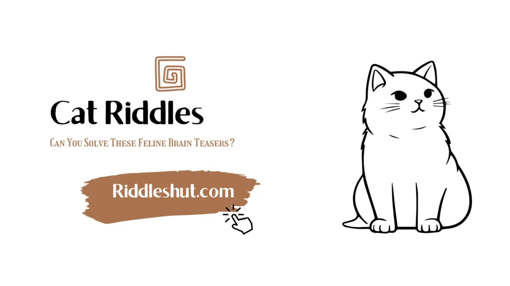 cat riddles